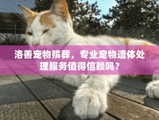 洛善宠物殡葬，专业宠物遗体处理服务值得信赖吗？