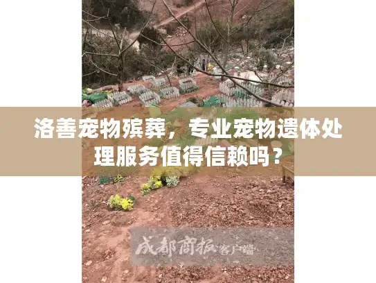 洛善宠物殡葬，专业宠物遗体处理服务值得信赖吗？