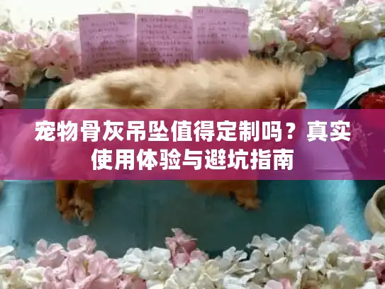 宠物骨灰吊坠值得定制吗？真实使用体验与避坑指南