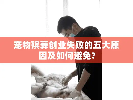 宠物殡葬创业失败的五大原因及如何避免?