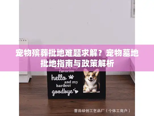 宠物殡葬批地难题求解？宠物墓地批地指南与政策解析