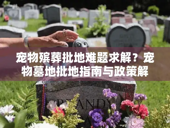 宠物殡葬批地难题求解？宠物墓地批地指南与政策解析