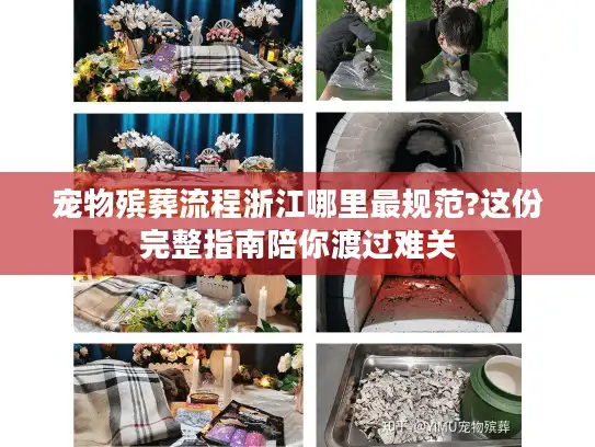 宠物殡葬流程浙江哪里最规范?这份完整指南陪你渡过难关