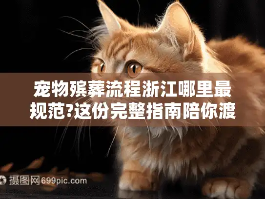 宠物殡葬流程浙江哪里最规范?这份完整指南陪你渡过难关