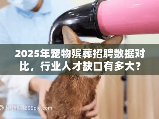 2025年宠物殡葬招聘数据对比，行业人才缺口有多大？