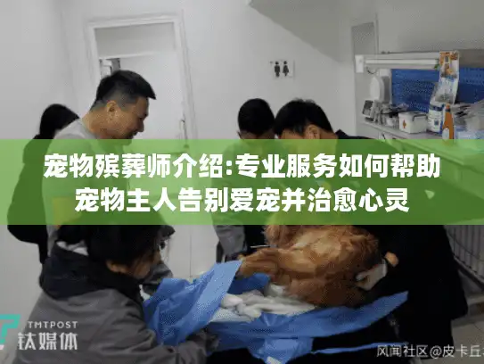 宠物殡葬师介绍:专业服务如何帮助宠物主人告别爱宠并治愈心灵