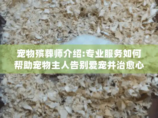 宠物殡葬师介绍:专业服务如何帮助宠物主人告别爱宠并治愈心灵
