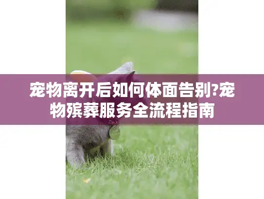 宠物离开后如何体面告别?宠物殡葬服务全流程指南