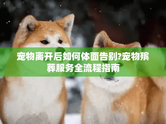 宠物离开后如何体面告别?宠物殡葬服务全流程指南