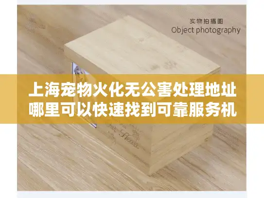 上海宠物火化无公害处理地址哪里可以快速找到可靠服务机构？