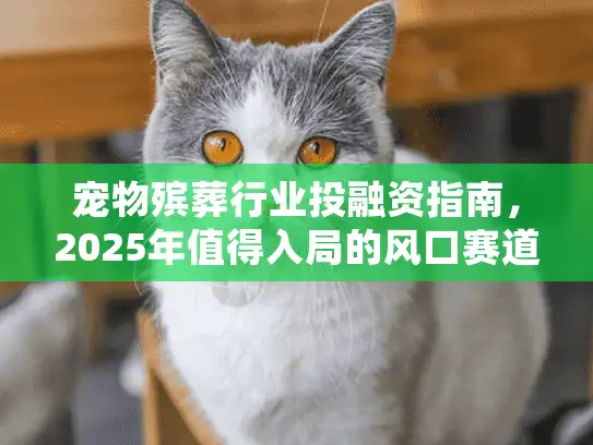 宠物殡葬行业投融资指南，2025年值得入局的风口赛道吗？