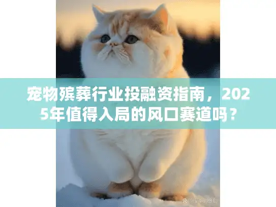 宠物殡葬行业投融资指南，2025年值得入局的风口赛道吗？