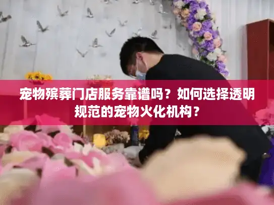 宠物殡葬门店服务靠谱吗？如何选择透明规范的宠物火化机构？