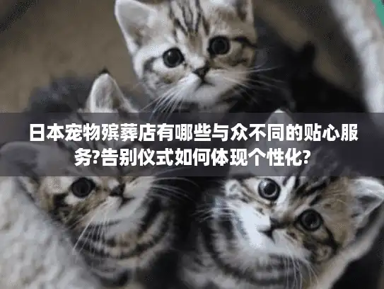 日本宠物殡葬店有哪些与众不同的贴心服务?告别仪式如何体现个性化?