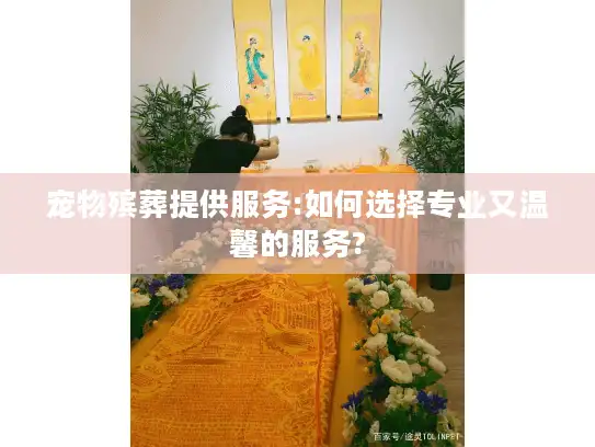 宠物殡葬提供服务:如何选择专业又温馨的服务?