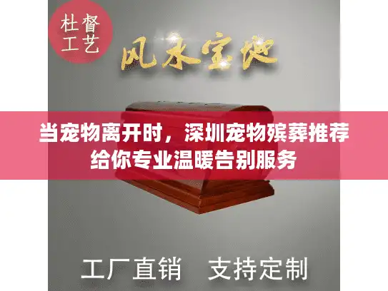 当宠物离开时，深圳宠物殡葬推荐给你专业温暖告别服务