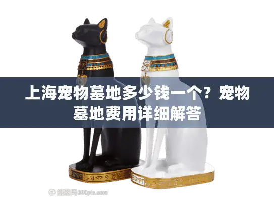 上海宠物墓地多少钱一个？宠物墓地费用详细解答