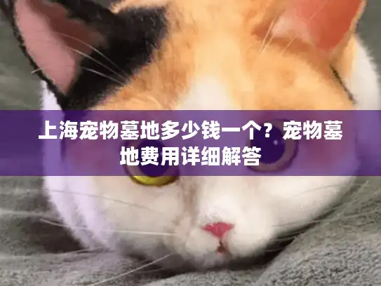 上海宠物墓地多少钱一个？宠物墓地费用详细解答