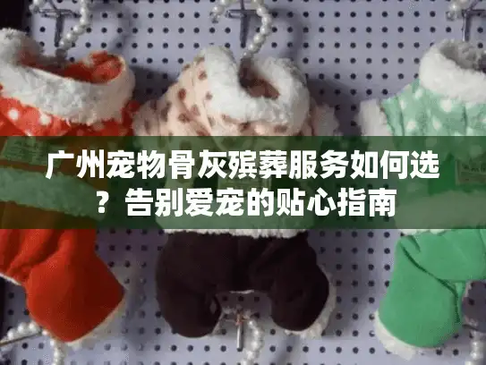 广州宠物骨灰殡葬服务如何选？告别爱宠的贴心指南