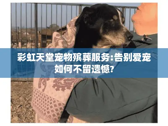 彩虹天堂宠物殡葬服务:告别爱宠如何不留遗憾?
