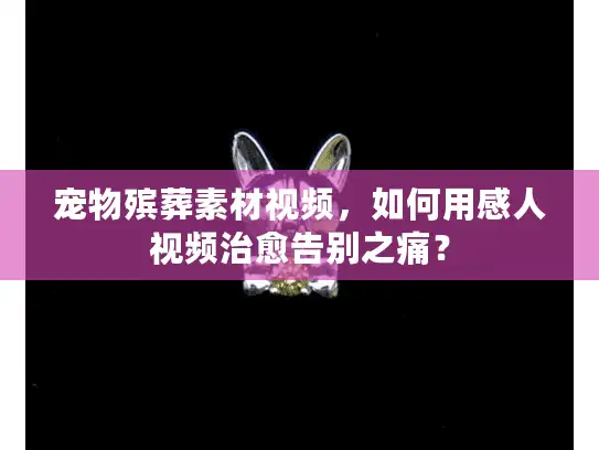 宠物殡葬素材视频，如何用感人视频治愈告别之痛？
