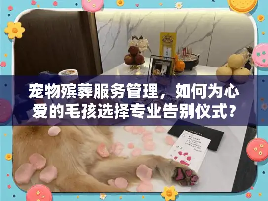 宠物殡葬服务管理，如何为心爱的毛孩选择专业告别仪式？