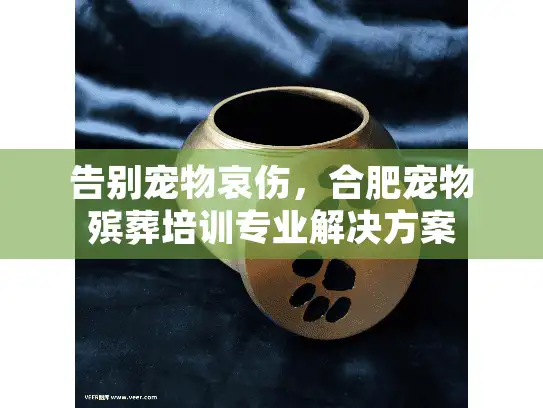 告别宠物哀伤，合肥宠物殡葬培训专业解决方案
