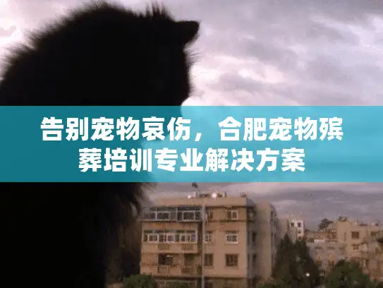 告别宠物哀伤，合肥宠物殡葬培训专业解决方案