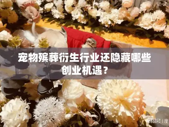 宠物殡葬衍生行业还隐藏哪些创业机遇？