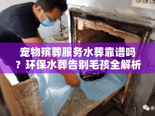 宠物殡葬服务水葬靠谱吗？环保水葬告别毛孩全解析