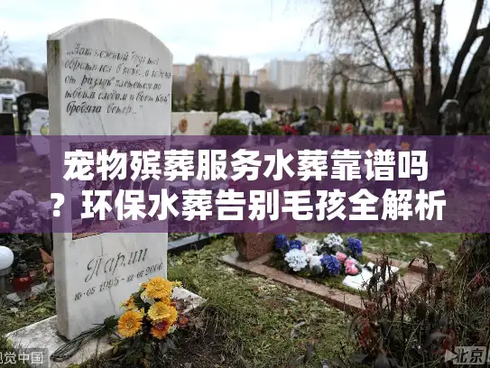 宠物殡葬服务水葬靠谱吗？环保水葬告别毛孩全解析