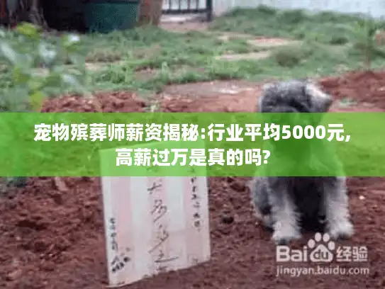 宠物殡葬师薪资揭秘:行业平均5000元,高薪过万是真的吗?