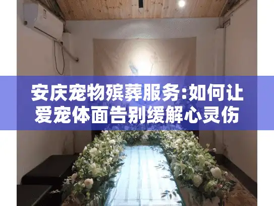 安庆宠物殡葬服务:如何让爱宠体面告别缓解心灵伤痛?