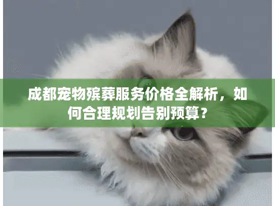 成都宠物殡葬服务价格全解析，如何合理规划告别预算？