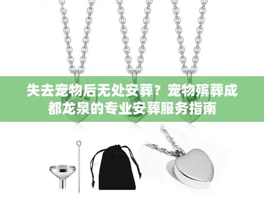失去宠物后无处安葬？宠物殡葬成都龙泉的专业安葬服务指南