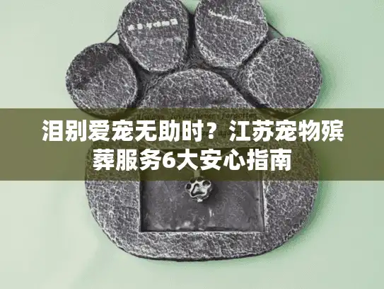 泪别爱宠无助时？江苏宠物殡葬服务6大安心指南