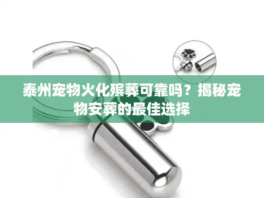 泰州宠物火化殡葬可靠吗？揭秘宠物安葬的最佳选择