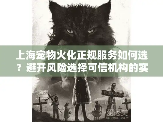 上海宠物火化正规服务如何选？避开风险选择可信机构的实用指南