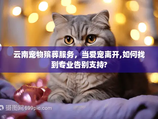 云南宠物殡葬服务，当爱宠离开,如何找到专业告别支持?
