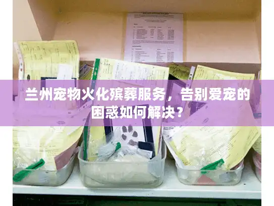 兰州宠物火化殡葬服务，告别爱宠的困惑如何解决？
