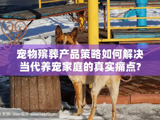 宠物殡葬产品策略如何解决当代养宠家庭的真实痛点?