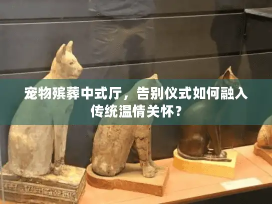 宠物殡葬中式厅，告别仪式如何融入传统温情关怀？