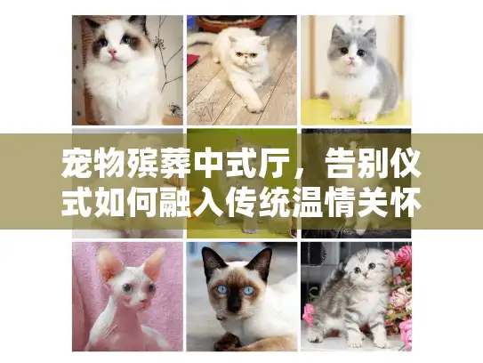 宠物殡葬中式厅，告别仪式如何融入传统温情关怀？