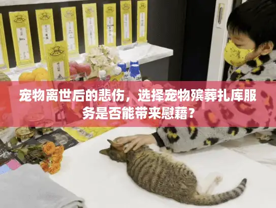 宠物离世后的悲伤，选择宠物殡葬扎库服务是否能带来慰藉？