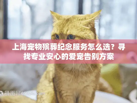 上海宠物殡葬纪念服务怎么选？寻找专业安心的爱宠告别方案