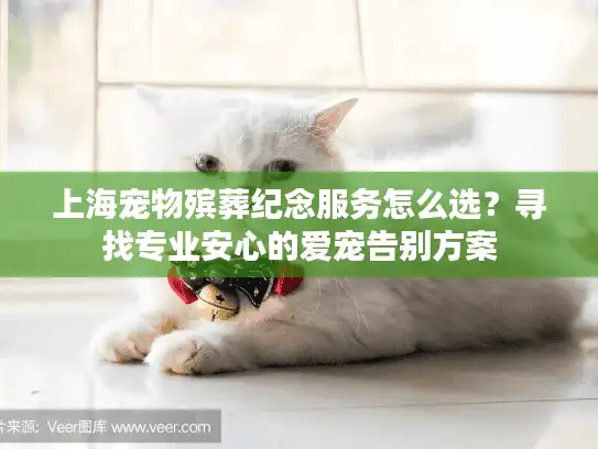 上海宠物殡葬纪念服务怎么选？寻找专业安心的爱宠告别方案