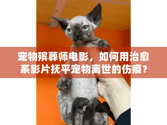 宠物殡葬师电影，如何用治愈系影片抚平宠物离世的伤痕？