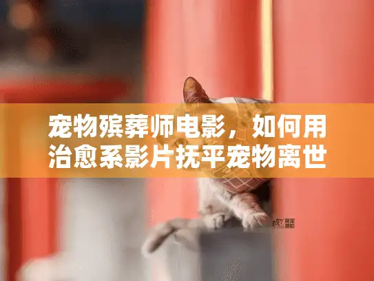 宠物殡葬师电影，如何用治愈系影片抚平宠物离世的伤痕？