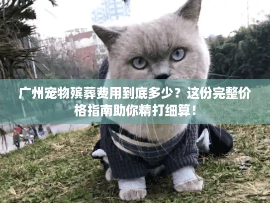 广州宠物殡葬费用到底多少？这份完整价格指南助你精打细算！