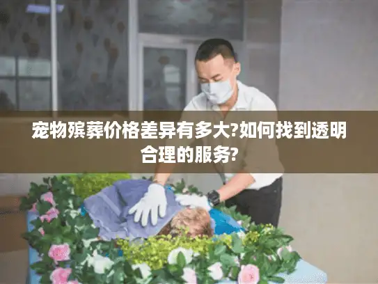 宠物殡葬价格差异有多大?如何找到透明合理的服务?